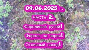 ФОРЕЛЬ. ФОРЕЛИВЫЙ РУЧЕЙ. 09.06.2025Г. ЧАСТЬ 2. #рыбалка #форель #ловляфорели #летняярыбалка #природа