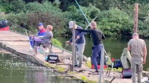 Поимка старый понтон