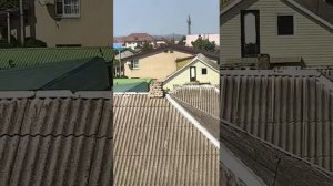 Гостевой дом в Витязево плюс дом с студиями.