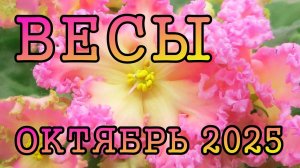 ВЕСЫ таро прогноз на ОКТЯБРЬ 2025 года.