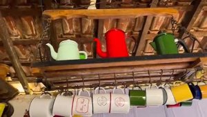 ☘️☘️🌿🌱