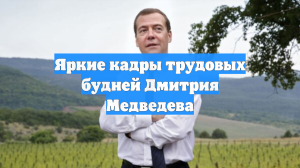 Яркие кадры трудовых будней Дмитрия Медведева