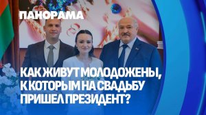 Особенный гость: поздравление от Президента в день свадьбы. Панорама