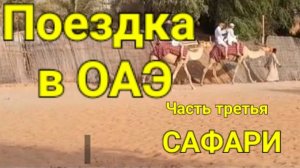Поездка в ОАЭ. Часть третья . САФАРИ.