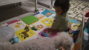 Это мы играем