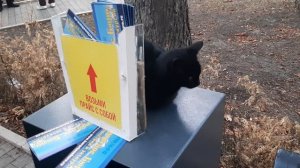 Прогулка. Часть 2ая 15.09.2025