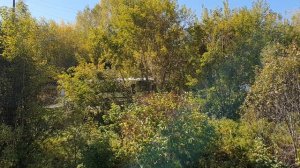 Борьба Тьмы и Света...