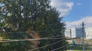 15-09-2025 деревня в сентябре, жизнь в деревне