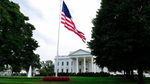 Сенатор Грэм*: санкции против РФ не сработали