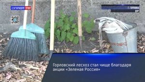 Горловский лесхоз стал чище благодаря акции «Зеленая Россия»