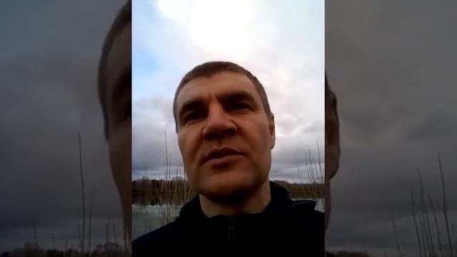 Какое оборудование выбрать для лесопиления