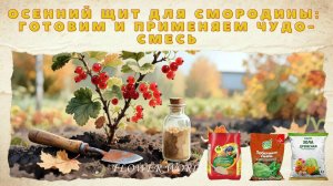 Осенний Щит для Смородины - Готовим и Применяем Чудо Смесь.🚑