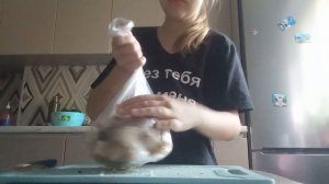 собираюсь на конюшню