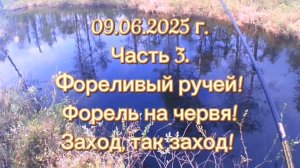 ФОРЕЛЬ. ФОРЕЛИВЫЙ РУЧЕЙ. 09.06.2025Г. ЧАСТЬ 3. #рыбалка #форель #ловляфорели #летняярыбалка #природа