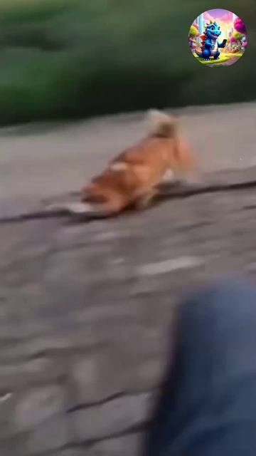 Смотри и наслаждайся смотреть онлайн