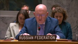 Выступление В.А.Небензи в СБ ООН по сирийскому «химическому досье»