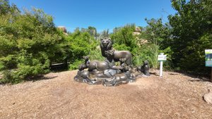 Зоопарк и ботанический сад Оклахома-Сити