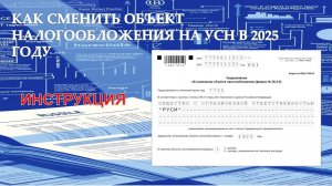 КАК СМЕНИТЬ ОБЪЕКТ НАЛОГООБЛОЖЕНИЯ НА УСН В 2025 ГОДУ. ПОДРОБНАЯ ИНСТРУКЦИЯ