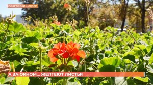 А за окном. 15 сентября 2025