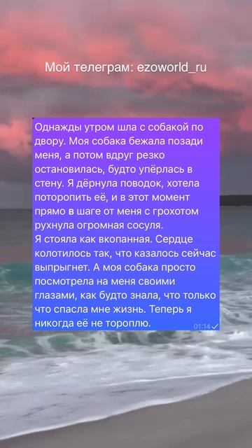#эзотерика #мистическиеистории #мистика #мистическийрассказ #неопознанное #мистик #таро #магия #руны