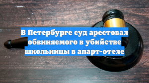 В Петербурге суд арестовал обвиняемого в убийстве школьницы в апарт-отеле