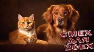 ПРИКОЛЫ С КОТАМИ😸Самые смешные животные😸 СМЕШНЫЕ КОТЫ Угарные коты и собаки заставят вас смеяться