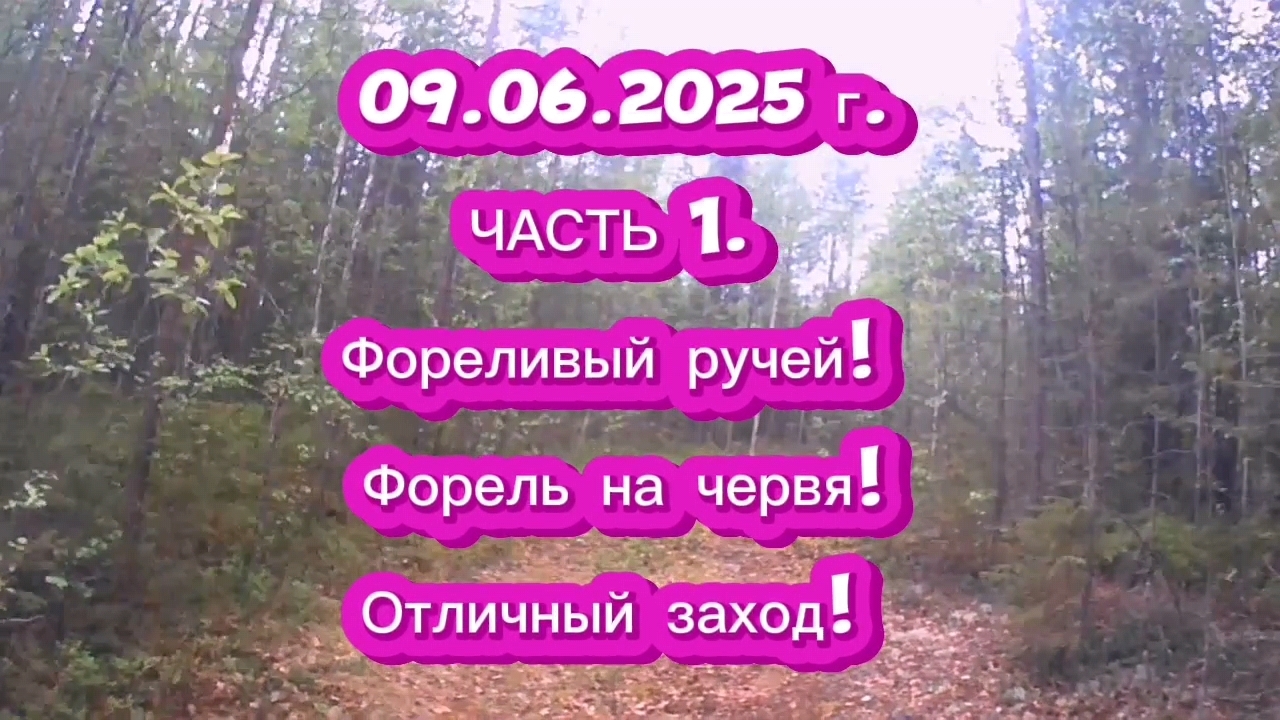 ФОРЕЛЬ. ФОРЕЛИВЫЙ РУЧЕЙ. 09.06.2025Г. ЧАСТЬ 1. #рыбалка #форель #ловляфорели #летняярыбалка #природа
