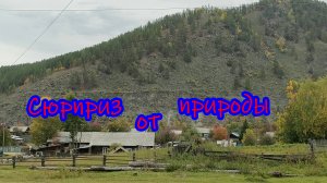 Грибной 2025-й...