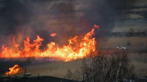 Огненная стихия: в Крыму и Ростовской области тушат крупные пожары