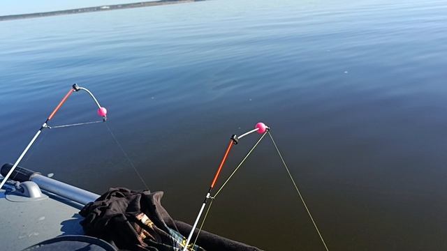 Поклевка леща крупным планом. смотреть онлайн