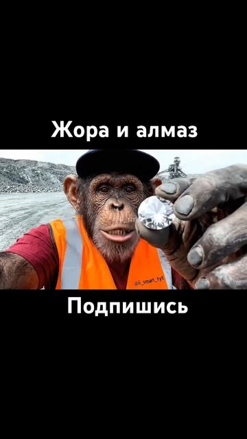 Жоро и алмаз смотреть онлайн