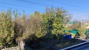 уютная природа в деревне