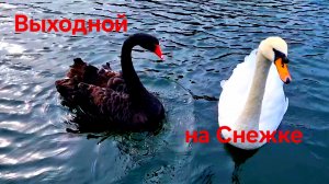 Выходной на Снежке