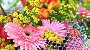 Откройте Для Себя Самые Потрясающие Цветы Мира . Подборка Лучших цветов.