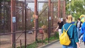 BPHI4032 Видео от опекуна Светланы