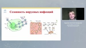 Сезонная адаптация: почему мы болеем летом? DR.WOLZ VITALCOMPLEX