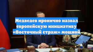 Медведев иронично назвал европейскую инициативу «Восточный страж» мощной