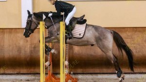 4956-6 Детская лошадь