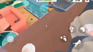 я решил потрескать бабулиту в I am cat и убегал чтобы не дала по пукану