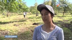 Компания «Резонит» организовала субботник в Яблоневом саду