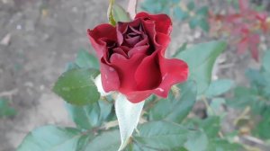 05=09=2025   Ю  КМР  (10)