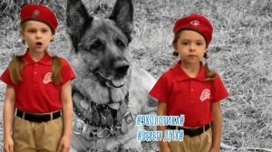 Конкурс «ЭКОлогика» группа «Сказка»