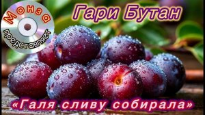 Гари Бутан «Галя сливу собирала») Автор МОНЗА