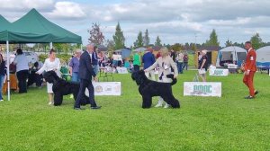 Переславль 2025