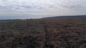 Расширяюсь. Новый участок в 5 гектаров