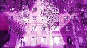 🪶🐾Квадробика!🐾🪶