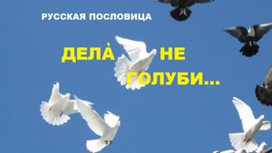Русская пословица. ДЕЛА НЕ ГОЛУБИ...