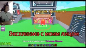 Играю в укради брэенрота