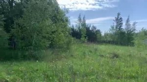 д. Глубоково 50:32:0030209:1529