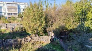 Уютная и размеренная деревенская жизнь